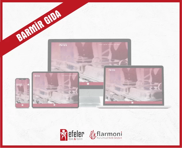 BARMİR GIDA - WEB SİTE
